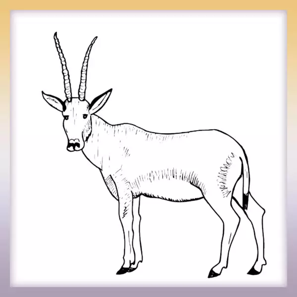 Antilope - Online-Malvorlagen für Kinder