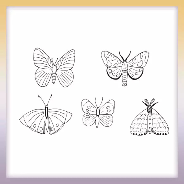 Sammlung von Schmetterlingen - Online-Malvorlagen für Kinder